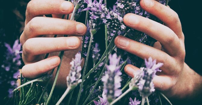 Alternative Treatments